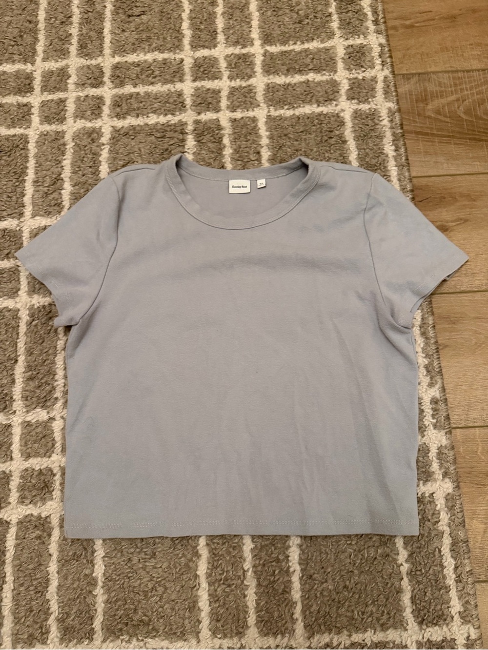 Aritzia Sunday Best Pale Blue Short Sleeve Crewneck Tee